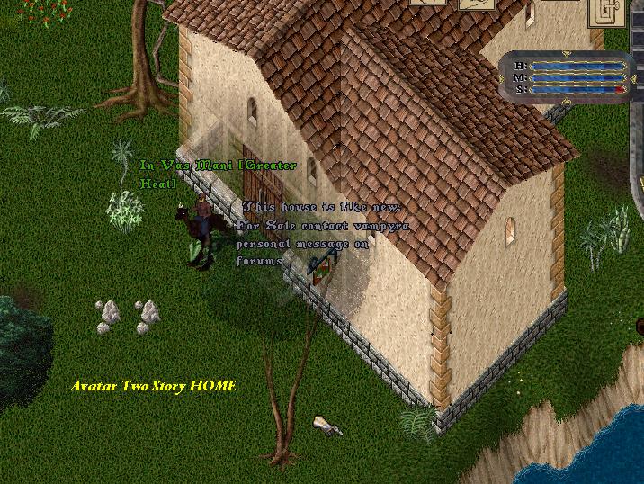 AVATAR L.JPG
