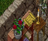 ncd.jpg