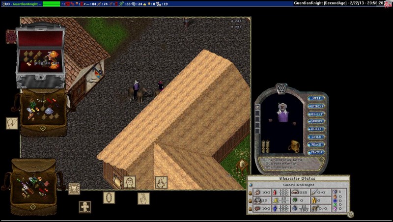GuardianKnight_2-22_20.56.jpg