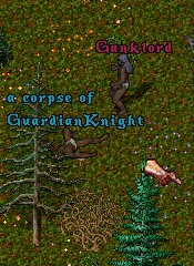 guardianknight gank.jpg
