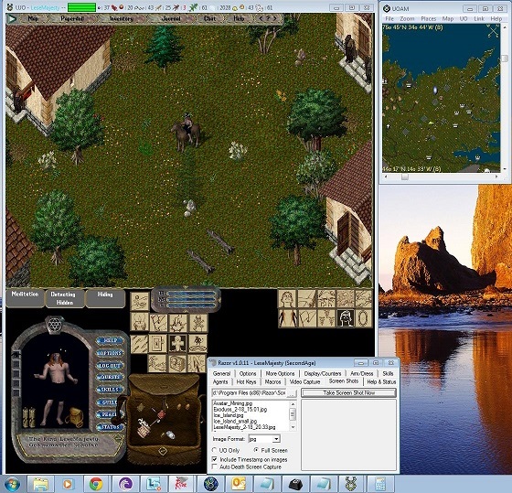LeseMajesty_3-4_small.jpg