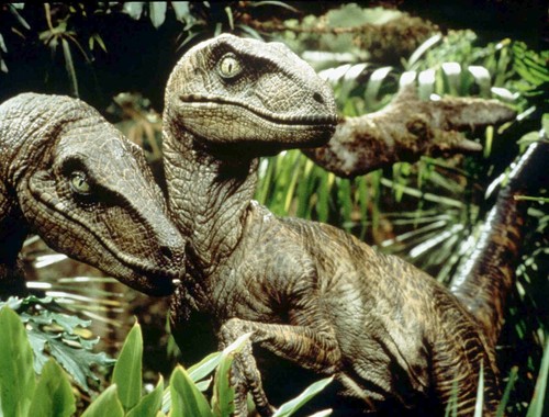 JP-Velociraptors.jpg