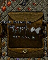 PVP Set Spell Reflect.jpg