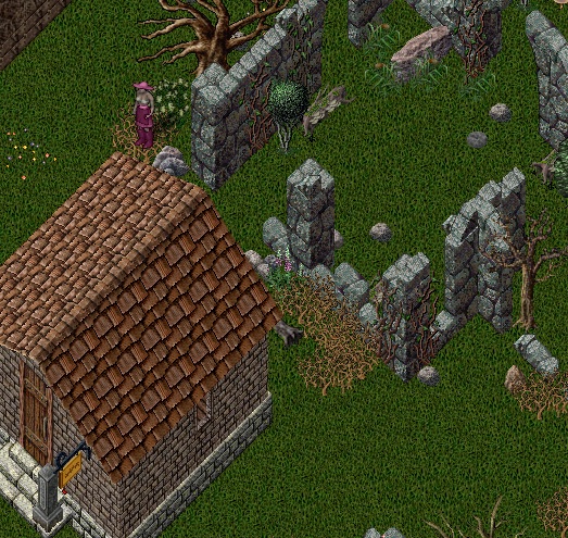 swamp2.jpg
