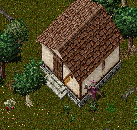 Yew3.jpg