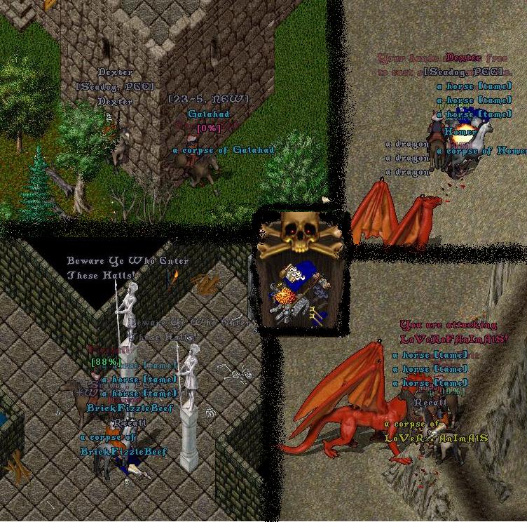 c3.jpg