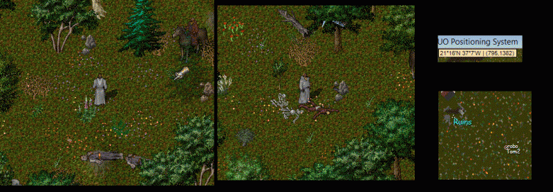 Lich Huts.gif