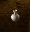 smallvase.png
