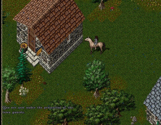 OCLLO1.jpg