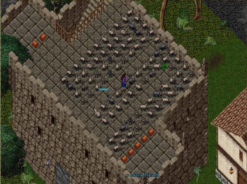 towersheep.jpg