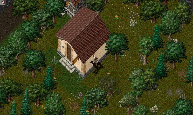 Newpic1.jpg
