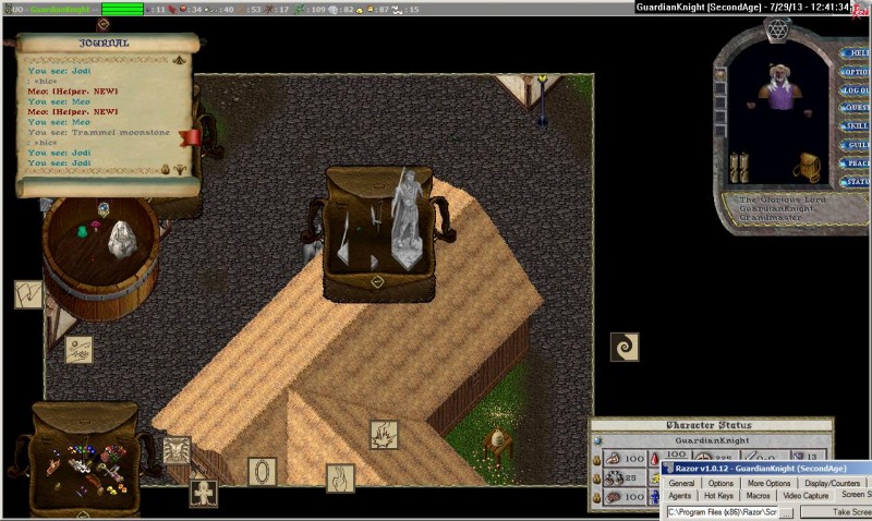 GuardianKnight_7-29_12.41.jpg