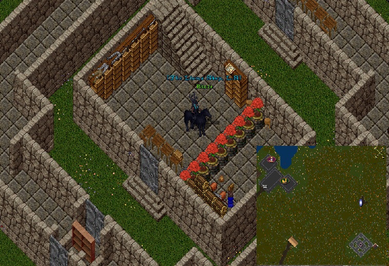 castle.jpg