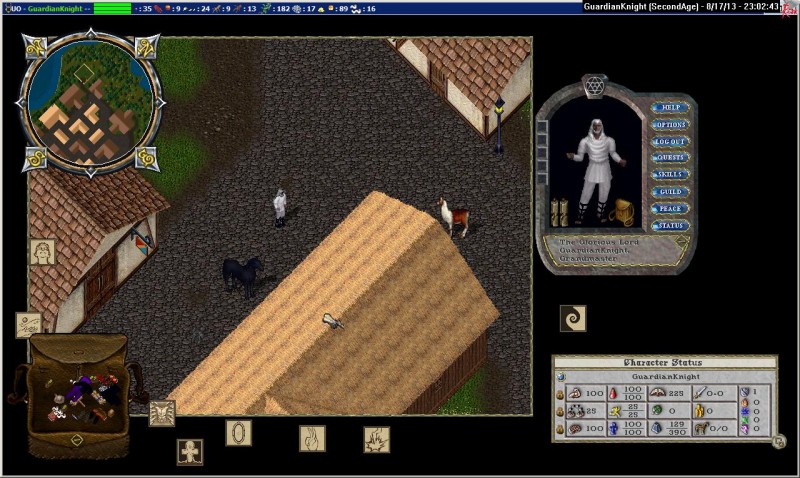 GuardianKnight_8-17_23.02.jpg