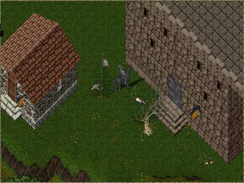 trinsic tower.JPG