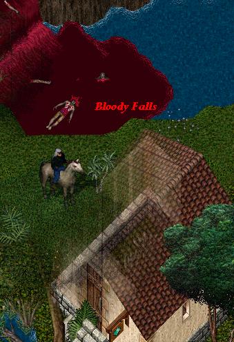 bloody2.JPG