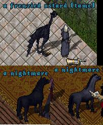 nightmares and frenzied.jpg
