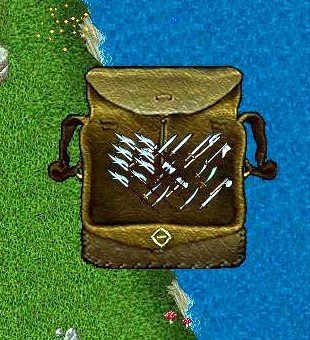 8 hallys.jpg