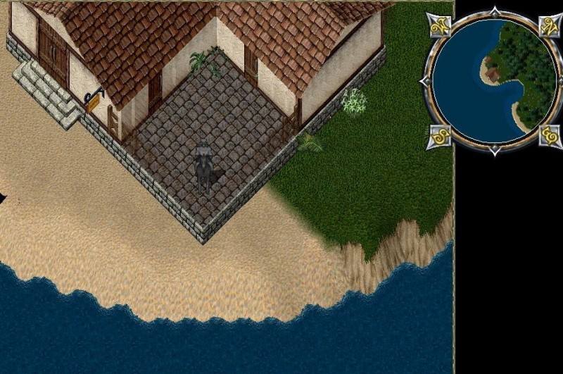 Patio fishing.jpg