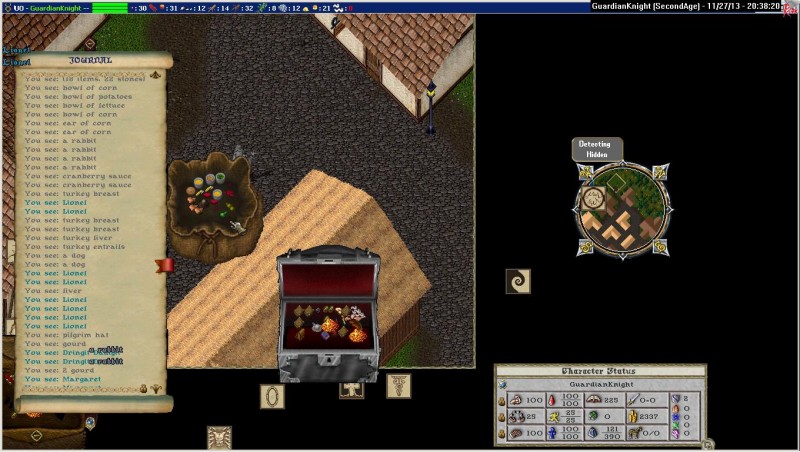 GuardianKnight_11-27_20.38.jpg