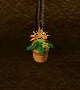 Plant4.jpg