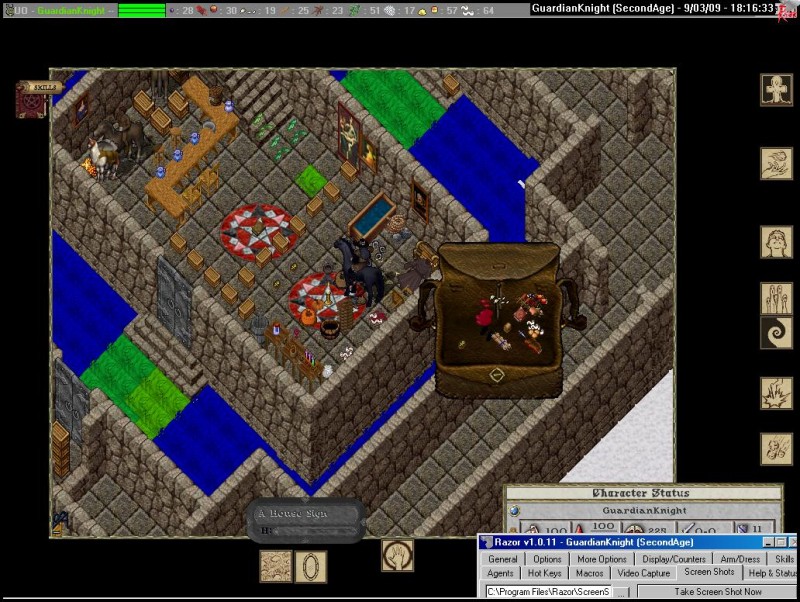 GuardianKnight_9-3_18.16.jpg