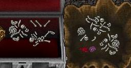bones.jpg