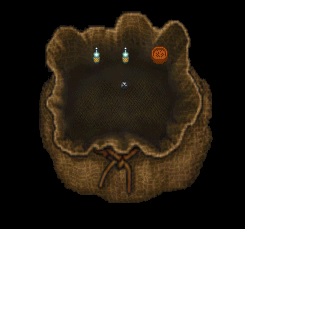 bag.jpg