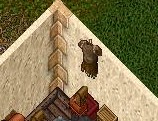 Leather Tunic.jpg