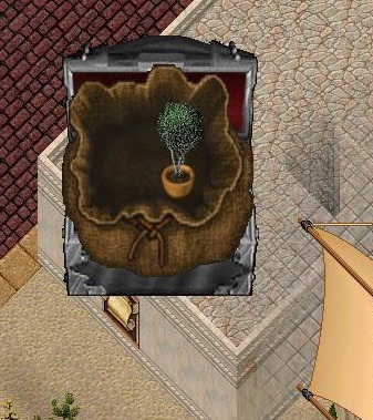 tree.jpg
