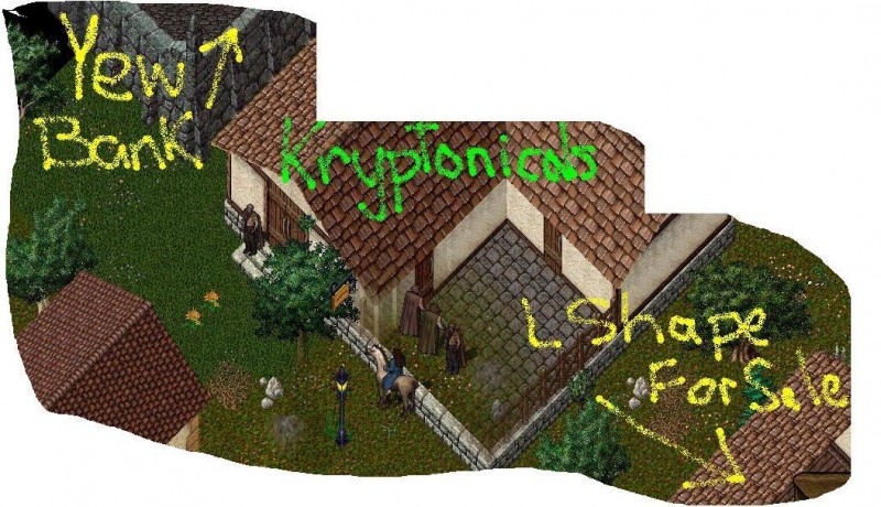 F Yew.JPG