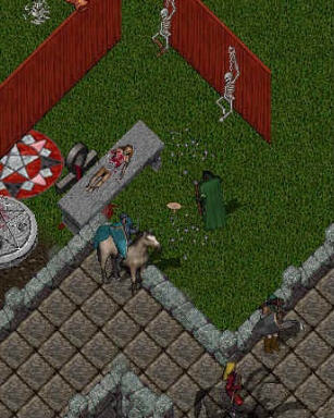 Mage Camp