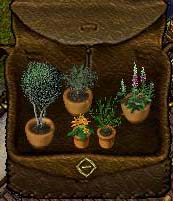 plantset.jpg