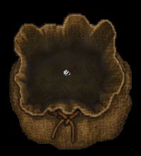 skull.JPG