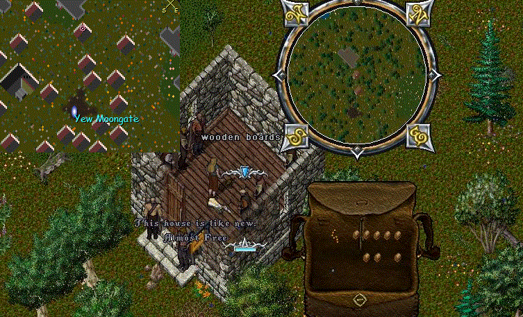 mollyvendor.gif