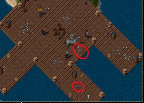 fish.jpg