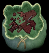 rare.jpg