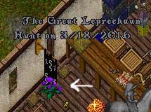 1flowertrophy.jpg