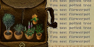 Full plant set.jpg