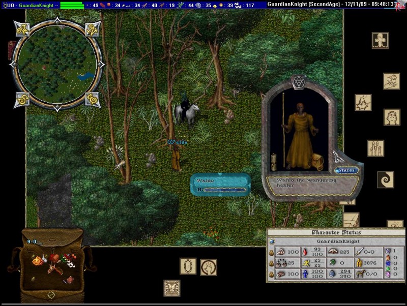 GuardianKnight_12-11_09.48.jpg