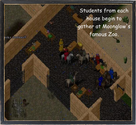 start.jpg