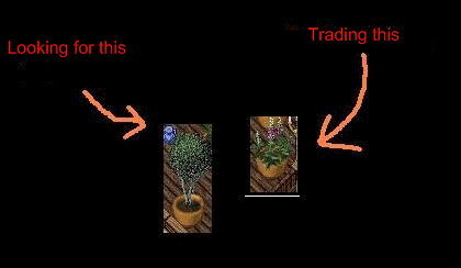 Potted Plants.gif
