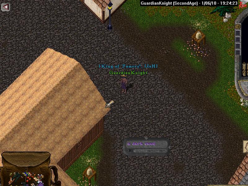 GuardianKnight_1-6_19.24.jpg