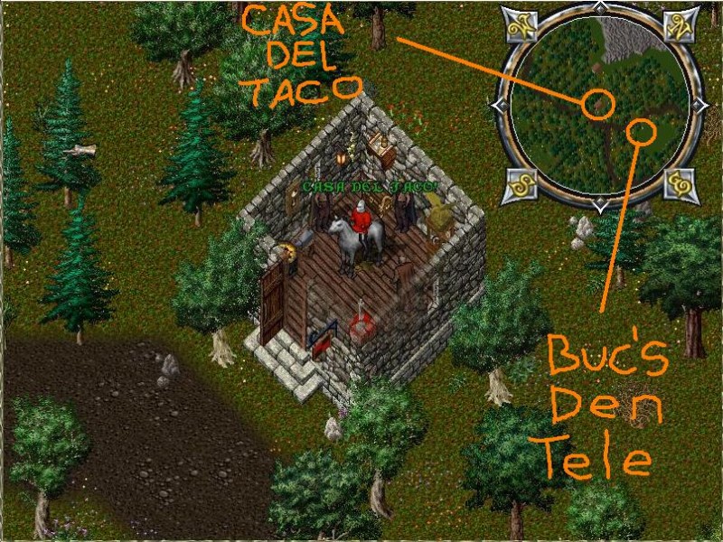 Casadeltaco.jpg