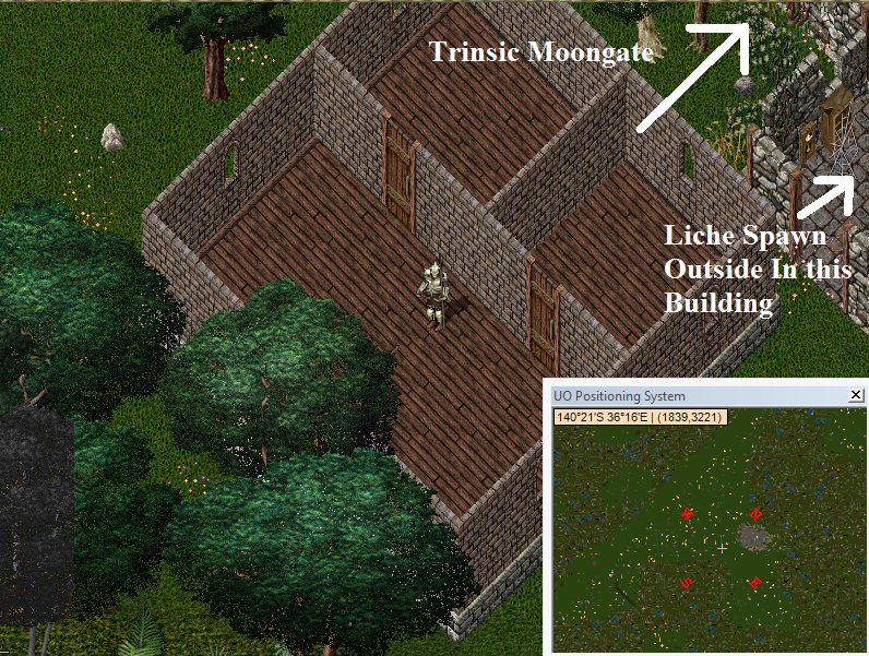trinsic brick.jpg