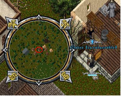 vendor.JPG
