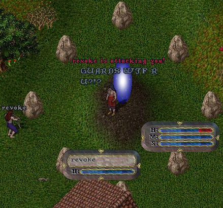 arrows.jpg