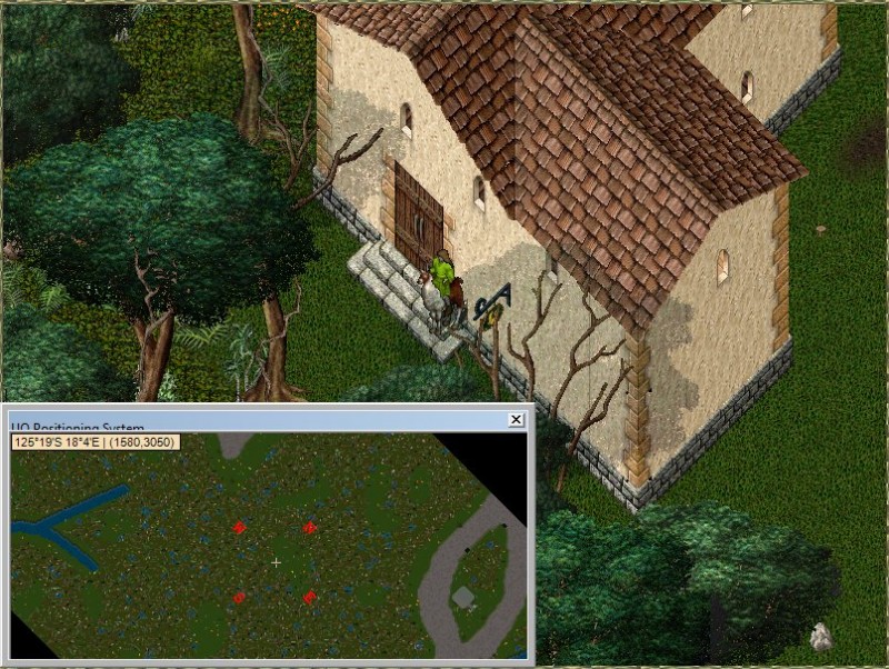 Jungle.jpg