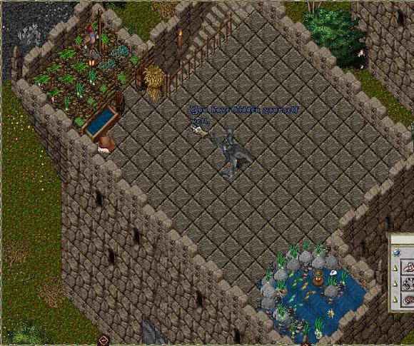 tower_roof.jpg