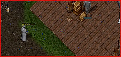 Guards2.JPG